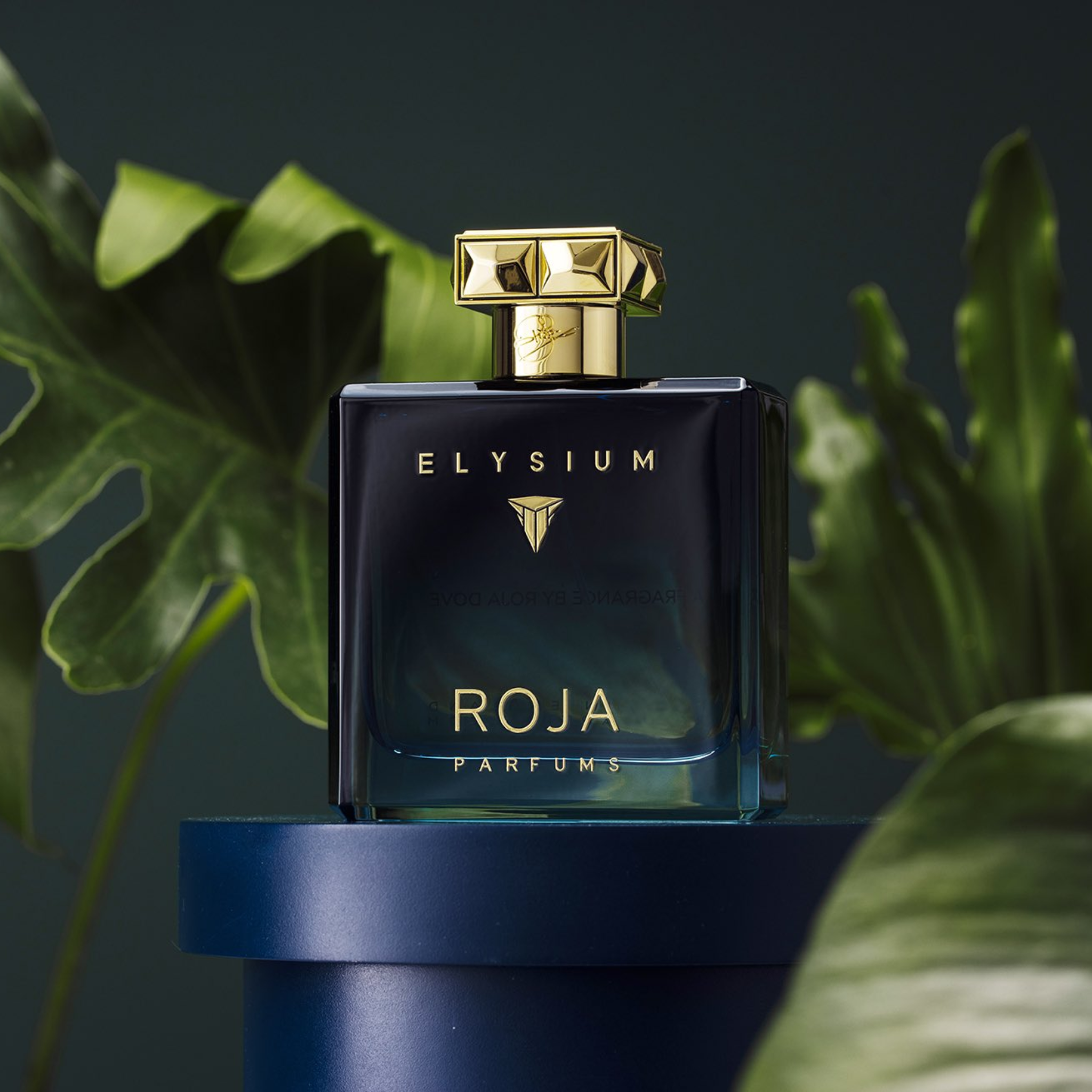 Roja